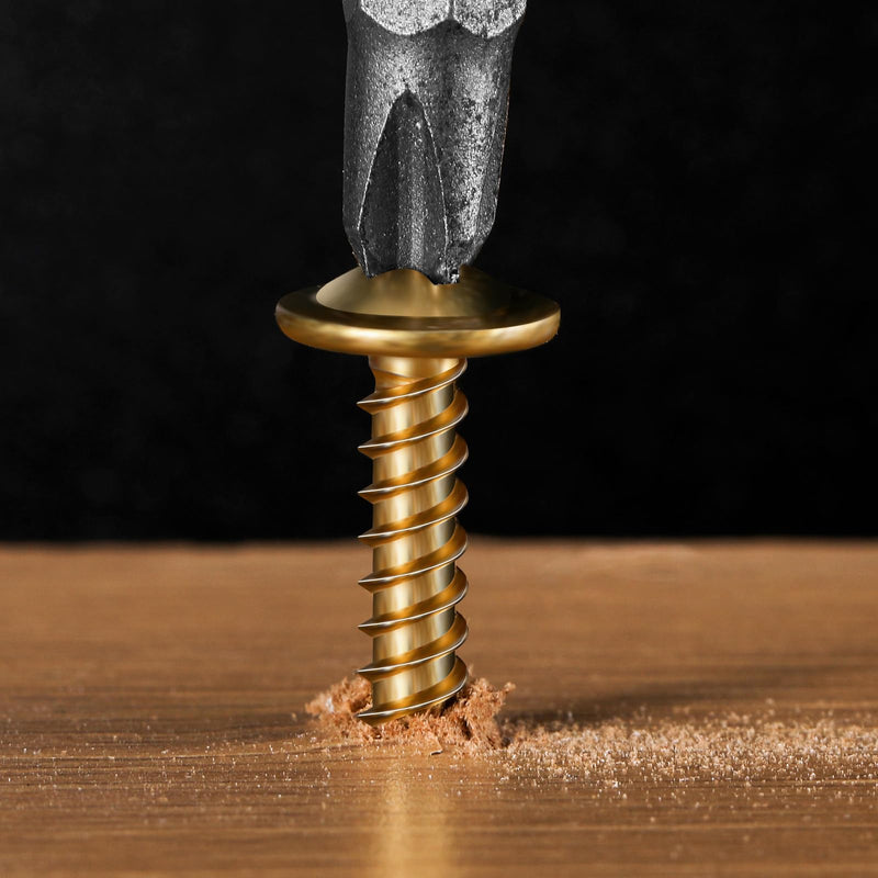 #8 x 1/2" Wood Screw 100Pcs Alloy Steel Standard Thread Truss Head Fast Self Tapping by SG TZH #8 x 1/2" 100
