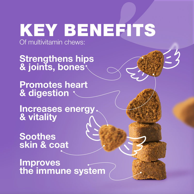 Dog Vitamins 15 in 1 - Dog Multivitamin Chews with MSM for Hip & Joint Health - Dog Supplement for Itchy Skin Relief - Multivitamin for Dogs Immune Support with Enzymes - Skin & Coat, Mobility Support 180 count - PawsPlanet Australia