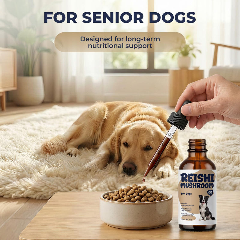 Reishi Mushroom Drops for Dogs, Dog Mushroom Supplement for Immune Support & Daily Wellness, Liquid Reishi Extract for Senior Dogs, Energy, Balance & Long-Term Support, 2 fl oz
