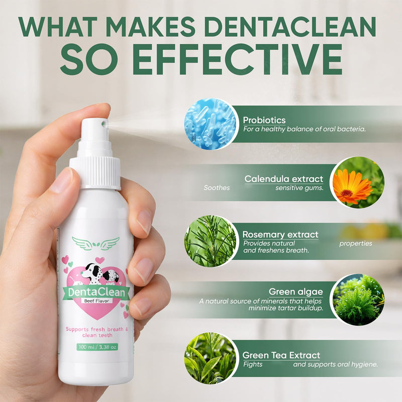 Dentaclean for Dogs, Natural Source of Minerals that Helps Minimize Tartar Buildup, Freshens Breath, for a Healthy Balance of Oral, Supports Oralhygiene, Gums & Oral Health for Dogs, 100ml