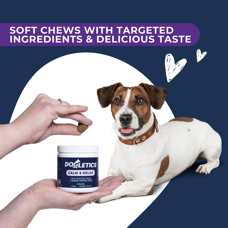 Calm & Relax Soft Chew Supplements for Dogs - Reduce Stress & Anxiety, Behavioral Support, Promote Rest & Relaxation for Active Dogs Calm & Relax - PawsPlanet Australia