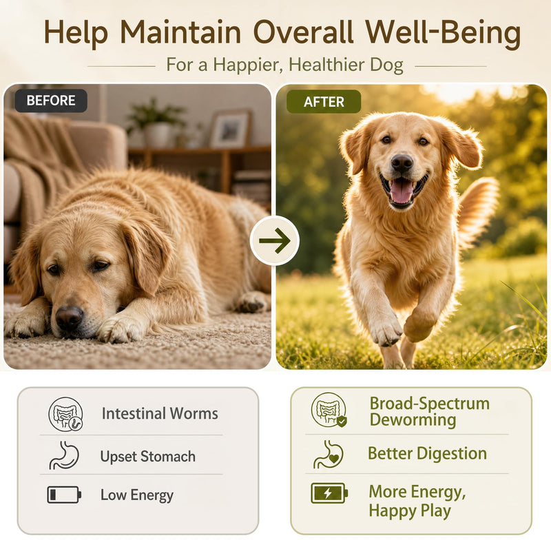 Dewormer for Dogs Fenbendazole Dog Dewormer for Tapeworms, Roundworms, Hookworms and Whipworms