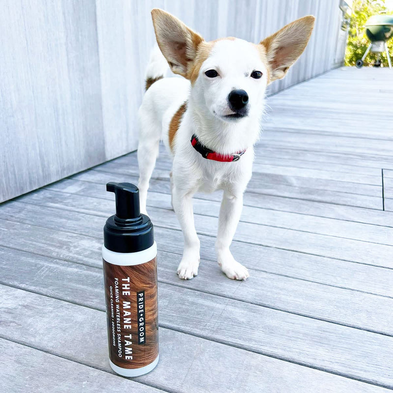 Pride and Groom The Mane Tame Waterless Dog Shampoo – Foaming Dry Shampoo for Dogs and Cats Made in USA for a Rinse Free Cleanse and to Eliminate Odor in Between Baths On-The-Go – 7.1 fl oz - PawsPlanet Australia