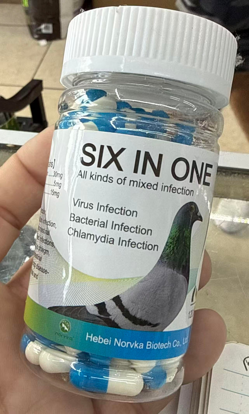 6 in 1 Medicine for Pigeons, Canary, Finches, Parakeet, Cockatiels, Parrots, Cage Small Birds, & Aviary Birds 120 Capsules