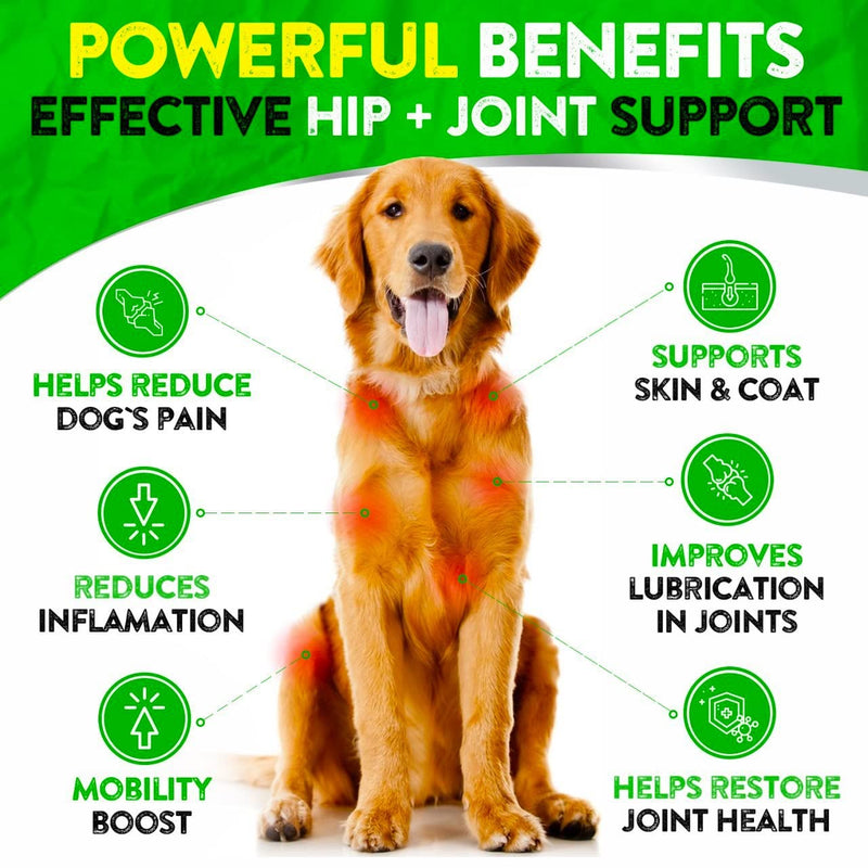 Hemp Hip and Joint Supplement for Dogs - Glucosamine for Dogs - 170 Dog Joint Pain Relief Treats - Chondroitin, Hemp Oil, MSM - Mobility & Flexibility Support - Advanced Care Health - Made in USA 170 Soft Chews