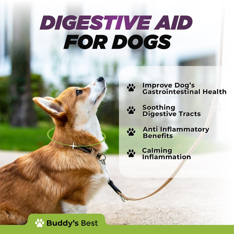 Digestive Aid for Dogs | Soothing & Anti-Inflammatory Blend with Dandelion, Slippery Elm & Marshmallow Root for Optimal Gastrointestinal Health - PawsPlanet Australia