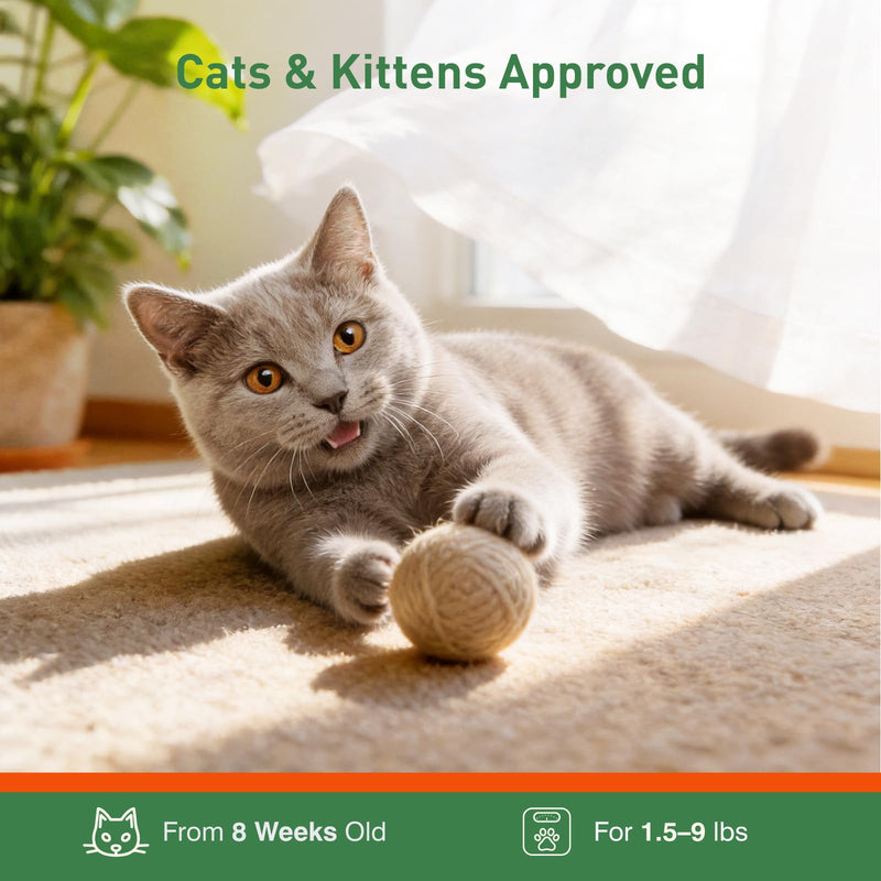 Cat Flea Treatment & Tick Control - Topical Flea Treatment for Cats & Kittens - Protection for Cats Over 1.5 lbs and 8 Weeks or Older, 6 Pack