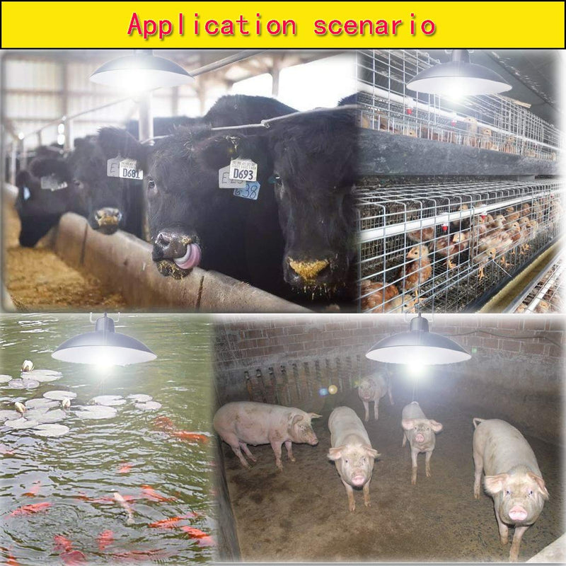 Solar Pendant Lights Upgraded Double Bulb Lights IP65 Waterproof Dusk to Dawn Auto Lamp with Remote Controller for Outdoor Shed Barn Chicken Coop Bullpen Pig Pen Stables Tents etc(Dual Lamp) Dual Lamp