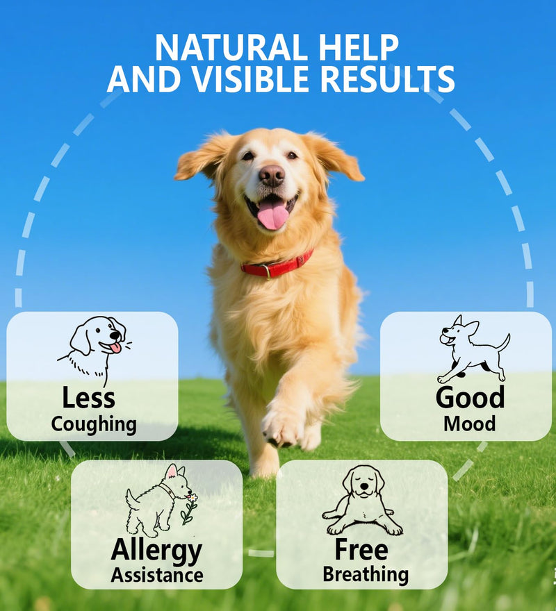 Kennel Cough for Dogs, Natural Dog Cough Treatmen, Gentle Dog Allergy Relief, Cough Supplement for Dogs Respiratory Infection, Herbal Drops for All Breeds & Sizes