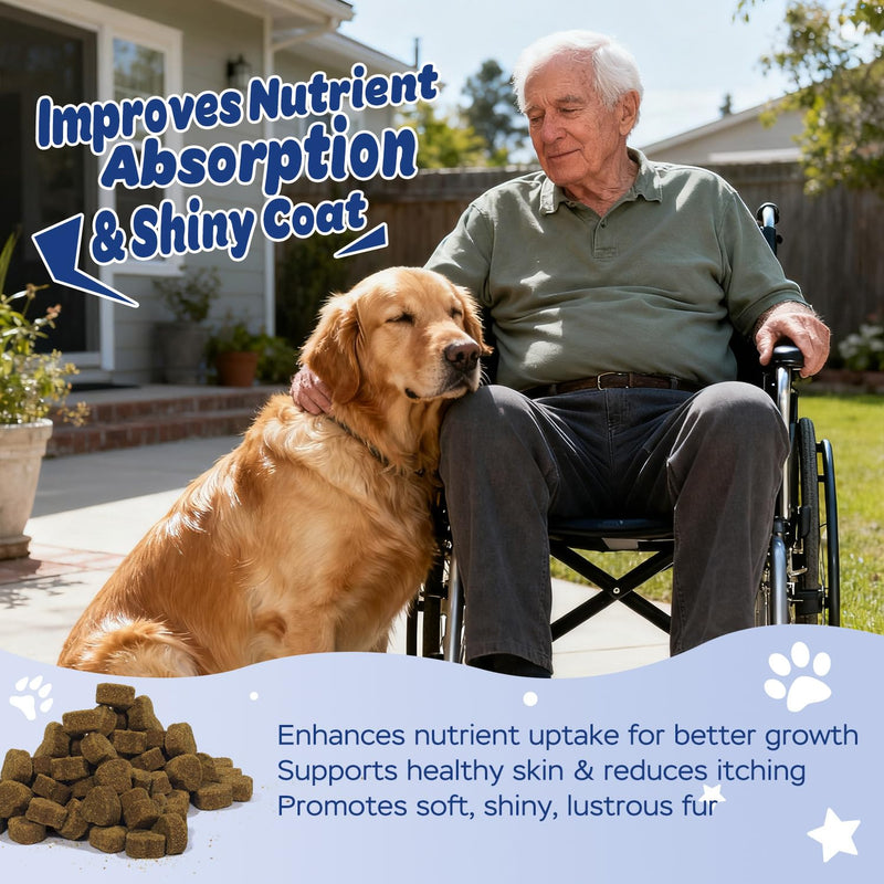 Dog Probiotic Soft Chews – 6-Strain Blend for Digestive & Immune Health – Supports Gut Balance, Reduces Gas, Tasty Daily Treat for Dogs-120 Count