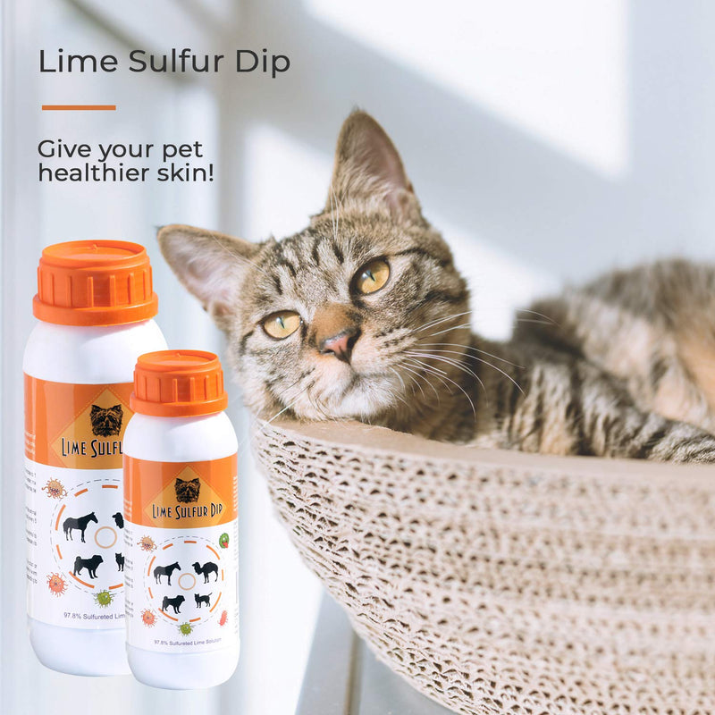 Classic's Lime Sulfur Dip (8 oz - Extra Strength Formula - Safe Solution for Dog, Cat, Puppy, Kitten, Horse 226.8 g (Pack of 1) - PawsPlanet Australia