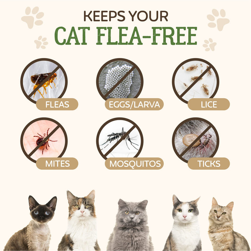Flea Treatment for Cats | Works on Flea & Tick | All Natural Safe Formula & Easy To Apply | 50ml Spot On Application - PawsPlanet Australia