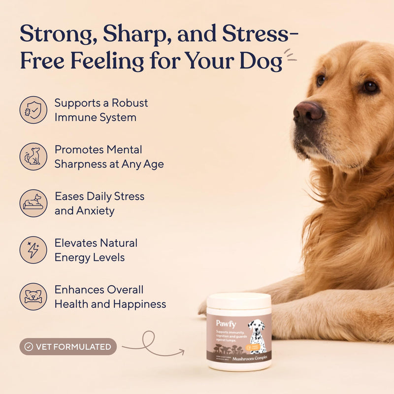 Pawfy Turkey Tail Mushroom Chews for Dogs with Lion’s Mane, Reishi & Adaptogen Blend | Mushroom Complex Dog Supplement | Supports Immune, Brain, Lumps and Bumps & Daily Wellness | 30 Soft Chews
