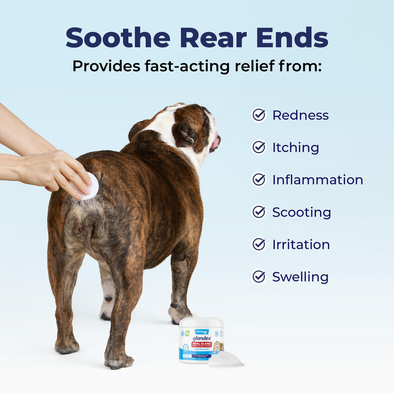 Vetnique Glandex Medicated Dog Butt Wipes & Spray for Dog Scooting - Topical Anti Itch Skin Relief for Soothing Inflamed Anal Glands in Dogs & Cats - Fast Acting Formula 50ct (50ct Wipes) 50ct Wipes - PawsPlanet Australia