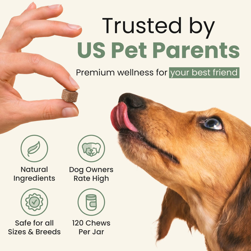 Calming Soft Chews for Dogs with Melatonin & L-Theanine – Daily Emotional Wellness Support – 120 Count