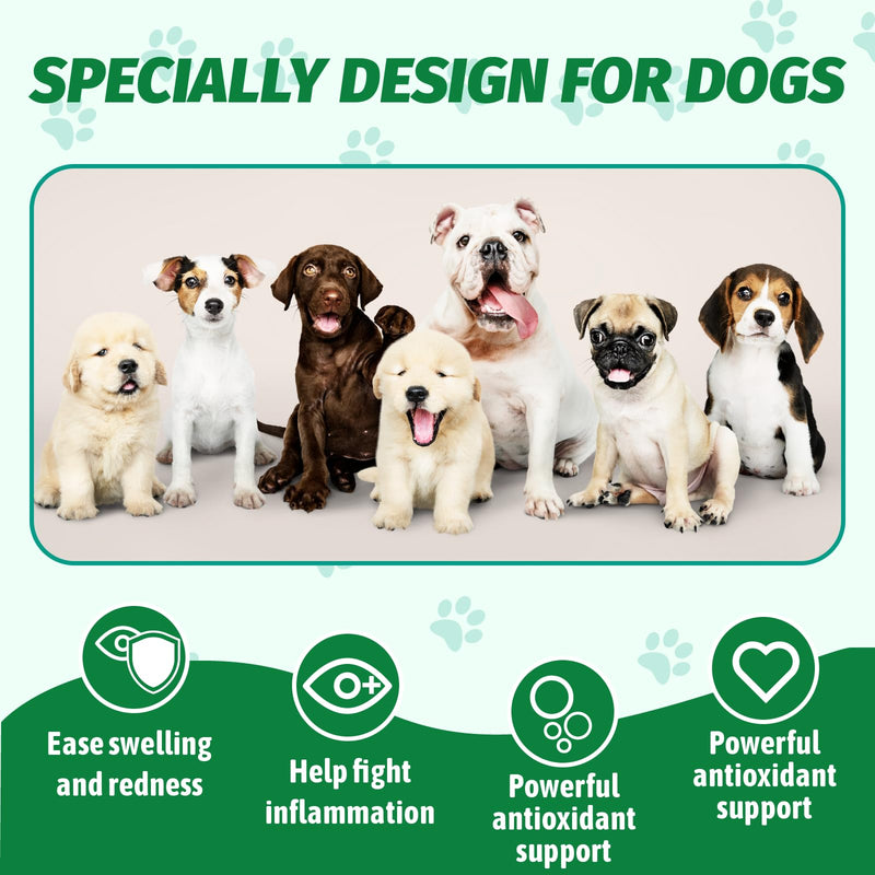 Cherry Eye Treatment for Dogs, 100 ml Liquid Terra-CIN for Conjunctivitis, Reduces Redness and Swelling, Homeopathic Oral Eye Wellness Supplement with 3 ml Dropper