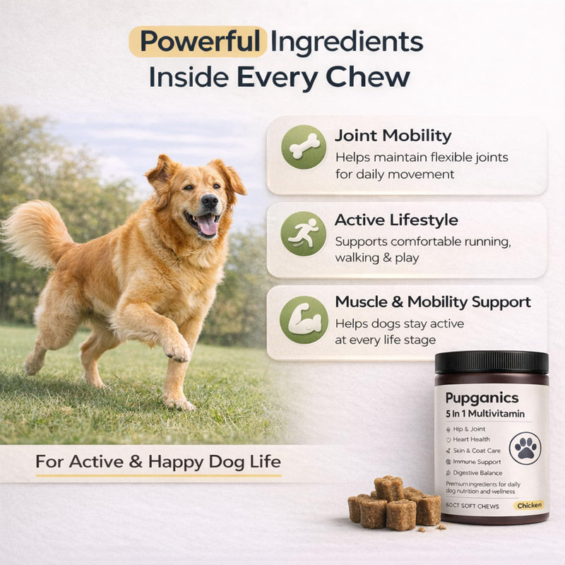 Pupganics Multivitamin Soft Chews for Dog, Dog Vitamins and Supplements for Immune System, Joint Support, Skin, Gut Health, with Probiotics, Glucosamine, Vitamin A/D3/E, Chicken Flavor, 60 Count (1) 1