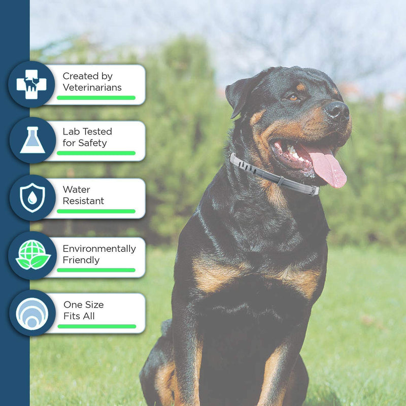 Flea and Tick Collar for Dog, Made with Natural Plant Based Essential Oil, Safe and Effective Repels Fleas and Ticks, Waterproof, 12 Months Protection, 13.8 in Fits Small Dog (2 Packs) - PawsPlanet Australia