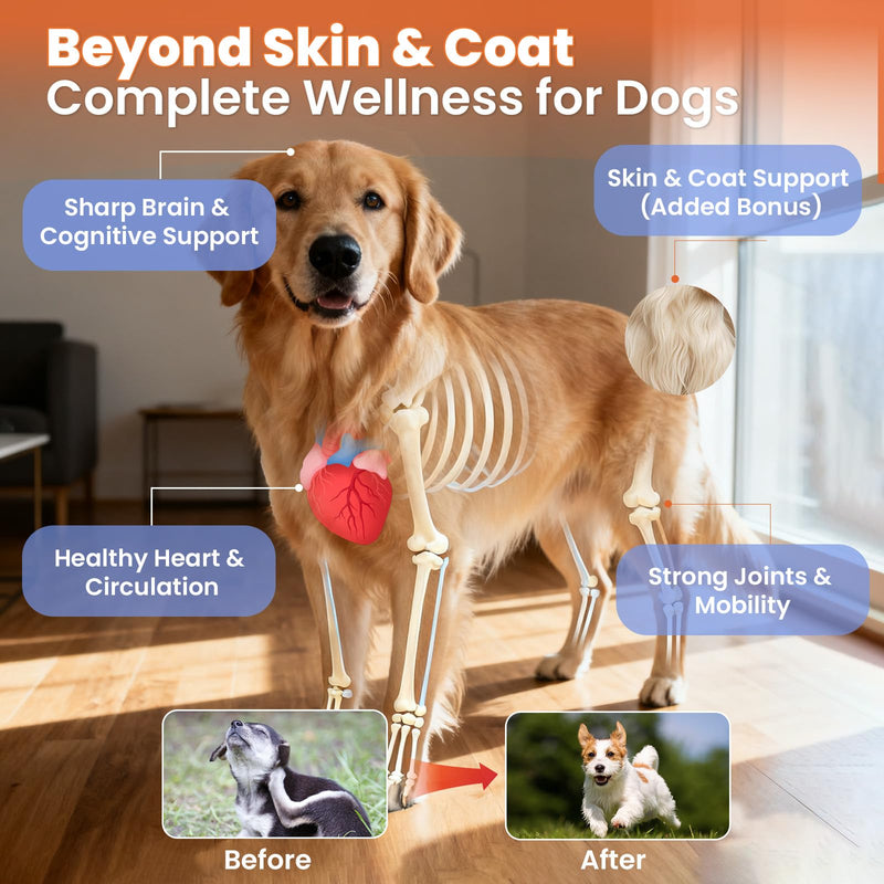 Salmon Oil for Dogs,Omega 3 for Dog Skin and Coat Supplement Chews Fish Oil Treat, Omega 6 EPA & DHA Fatty Acids Dry Skin Relief for Dogs, Coat Itch Relief Supplement,Salmon Flavor