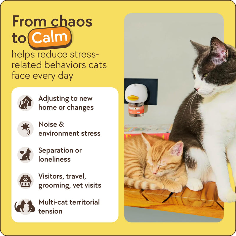 TherapetMD 60-Day Cat Calming Diffuser - Cat Pheromone Diffuser for Stress, Pee Spraying, Cat Fighting, Aggression, Excessive Meowing & Scratching - 60-Day Refill Included - Packaging May Vary 1 Pack