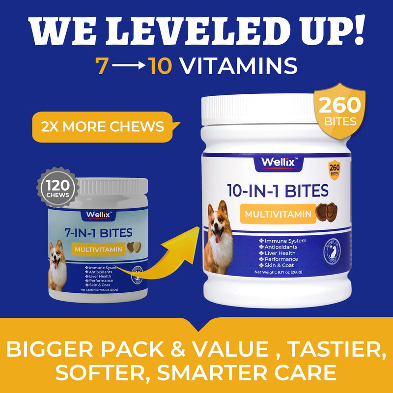 260 Bites Wellix 10-in-1 Dog Vitamins - Multivitamin for Dogs Immune Supports,Boost Hip&Joint,Skin&Coat,Liver&Gut Health -Dog Antioxidant Supplements 10-in-1 Multivitamin 260g