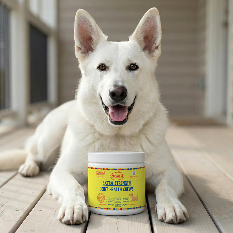 Zoomies Hip & Joint Supplement for Dogs - Soft Chews with Eggshell Membrane, Boswellia, MSM - Joint Support for Senior Dogs - Made in USA - 60 Chews 60 Chews (Pack of 1)