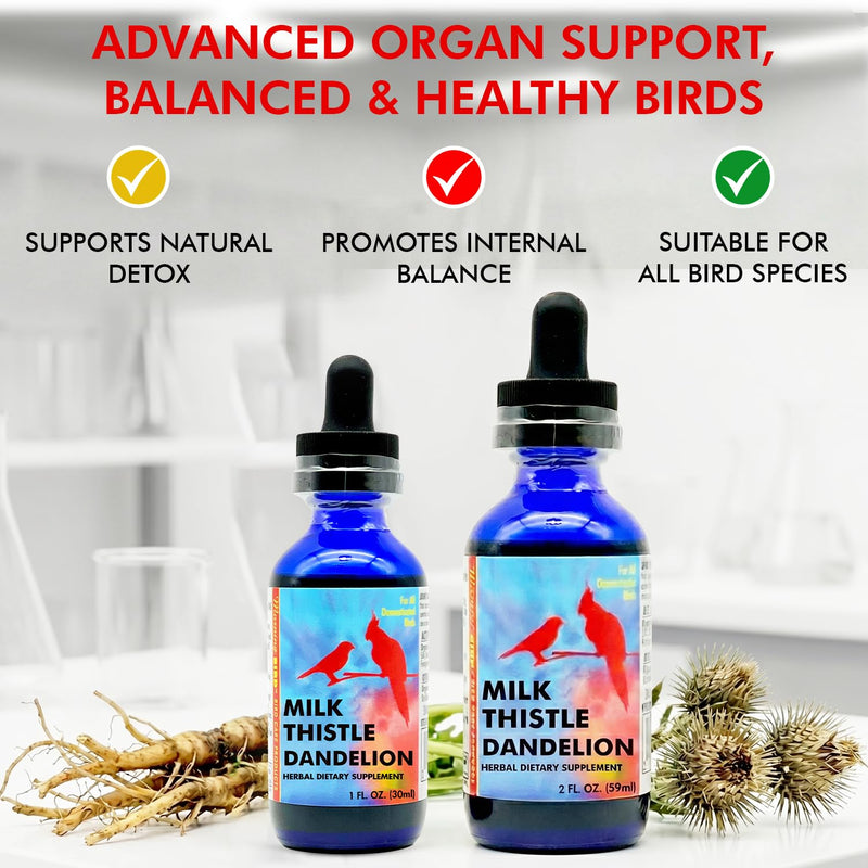 Morning Bird Milk Thistle & Dandelion Extract 2 fl oz – Organic Herbal Supplement for Birds – Supports Liver Health & Natural Detox – Suitable for All Bird Species