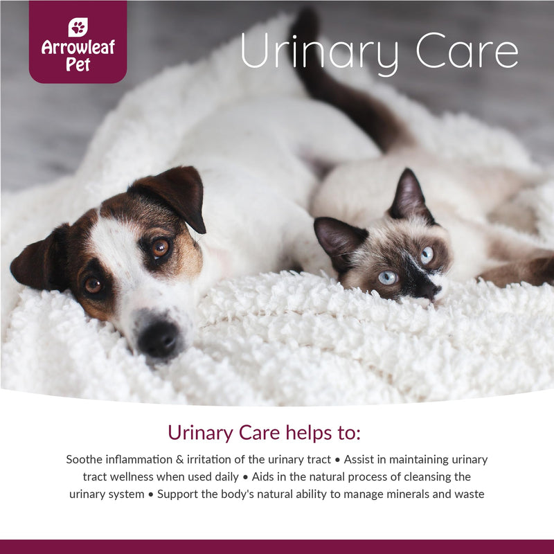 Urinary Care for Cats and Dogs | for Urinary Tract Support | Herbal Tincture 100mL - PawsPlanet Australia