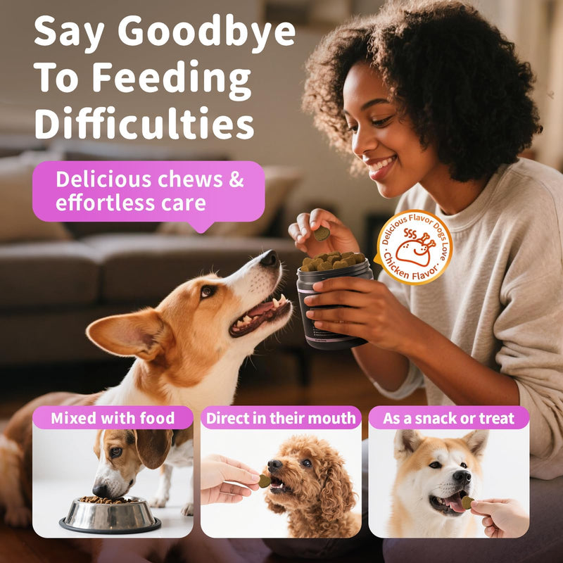 Itch Relief for Dogs - Turmeric Supplements for Itching Skin Comfort & Coat Health & Seasonal Allergy Care, Immune Support Supplement with Omega-3 Fish Oil, Biotin - Chicken Flavor - 90 Count 90 Count (Pack of 1)