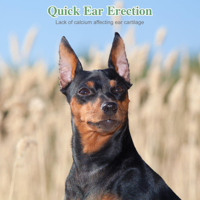 POPETPOP 2 Sets Dog Ear Posting Kit - Doberman Ear Stand Up Tool with Tape, Dog Ear Stand Up Support Tool for Doberman Pinscher Dog Ears Sticker Up - PawsPlanet Australia