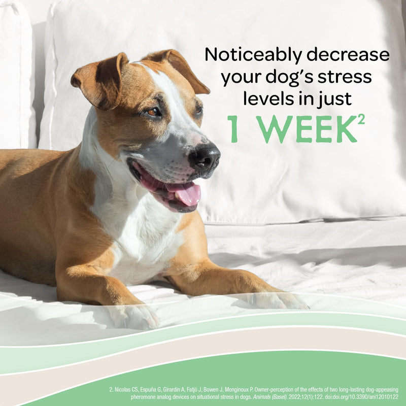 Virbac ZENIDOG Gel Diffuser - Dog Calming Pheromone Diffuser for Stress Relief No Electricity Required and Lasts up to 2 Months - PawsPlanet Australia