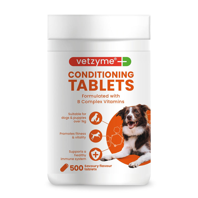 Vetzyme Conditioning Tablets, 500 Tablets