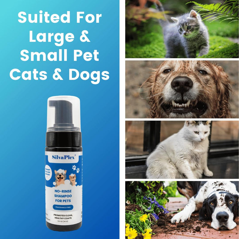 No Rinse Deodorizing Dry Pet Shampoo Plus Conditioner Foam for Dogs and Cats, Waterless Cleanse Enhanced with AG21 Chitosan-Silver Natural Coat Refresh, 5 Oz - PawsPlanet Australia