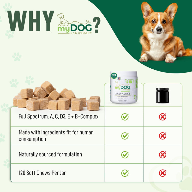 14-in-1 Multivitamin for Dogs – 120 Bacon Soft Chews | Daily Vitamins with Joint Support, Immune Health, Skin & Coat | A, D3, E, C & B-Complex | All Breeds & Ages