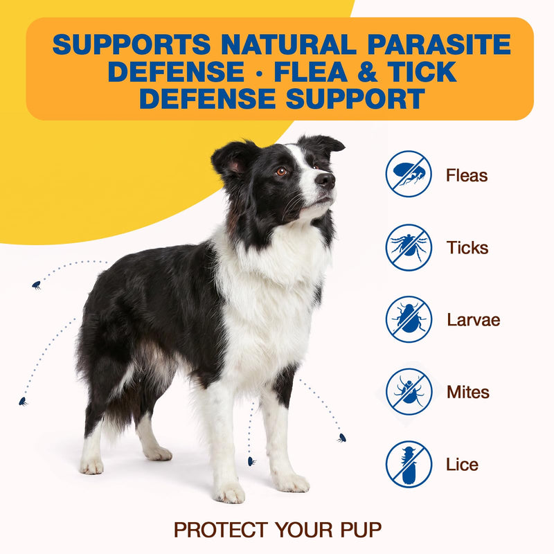 Natural Flea and Tick Prevention for Dogs Chewables, 180 Soft Chews Dog Flea and Tick Treatment, Oral Flea Chews for Dogs, Skin & Coat Support Supplement 180 chews