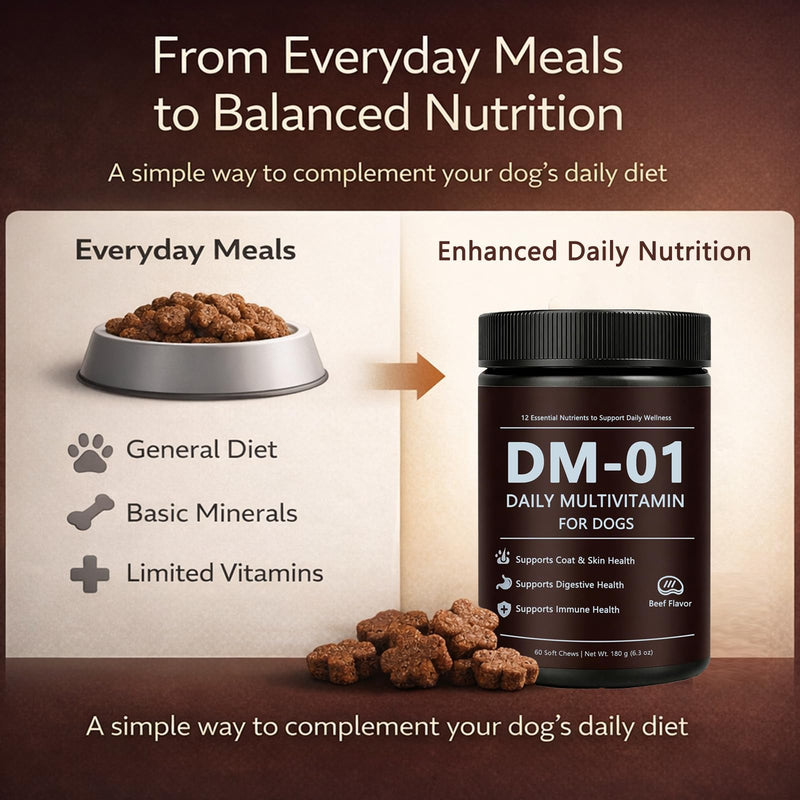 Multivitamin for Dogs, Daily Nutrient Supplement with 12 Essential Nutrients, Soft Chews with Beef Flavor, Designed for Everyday Wellness — 60 Soft Chews (1) 1