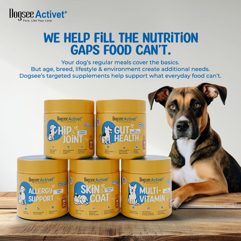 Dogsee Activet+ Dog 12 in 1 Multivitamin Supplement Chews, with Vitamins, Minerals, Probiotics, Omega 3 & Glucosamine for Overall Dog Health, Chicken Flavor – 90 Chews Multivitamin- Chicken