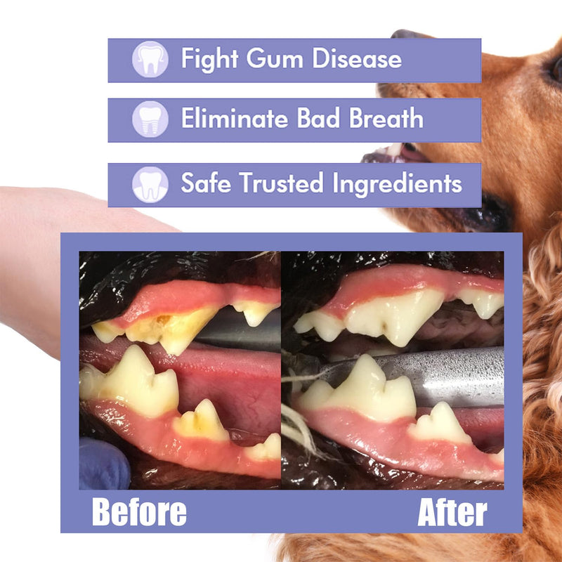 JoanofArc Pet Oral Spray, Teeth Cleaning Spray for Dogs and Cats, Pet Breath Freshener, Reduces Plaque Tartar Buildup, No Brushing, 30ml Each (2pcs)