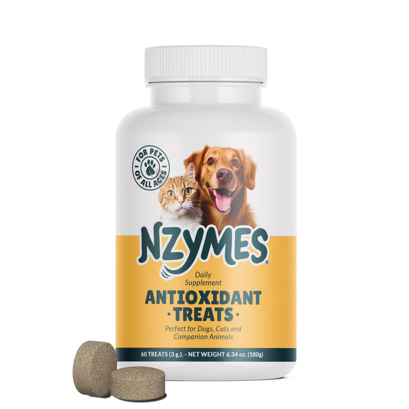 Nzymes® Antioxidant Treats - for Dogs Joints, HIPS, Paralysis, Skin, Coat, Hair Loss, Aging, Digestion, Neurological, Seizures - 60 Treats - Made in The USA Large Breed 1 Bottle