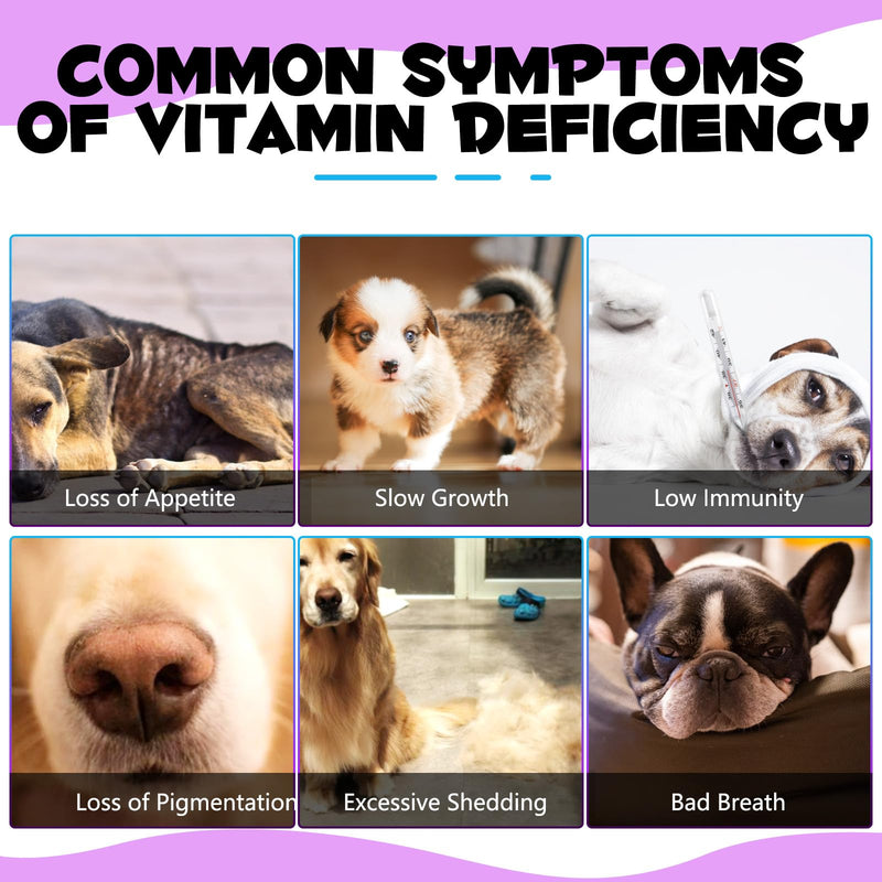 Dog Multivitamin, 15 in 1 Dog Multivitamin Liquid Drops Supplements, Dog Vitamins for Support Skin & Coat, Heart Health, Bones, Joint, Immune System Support, 60ml