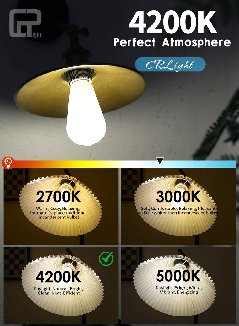 8W ST64 Dimmable LED Edison Bulbs, E26 Base 4200K Daylight, 6 Pack | 80W Incandescent Equivalent 800LM, Frosted Glass Vintage Filament Light Daylight White 4200k - 6 Pack