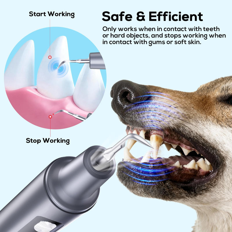 Pet Ultrasonic Dental Cleaner, Plaque and Tartar Remover, Teeth Cleaning Kit for Dogs and Cats
