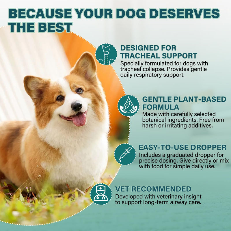 Collapsed Trachea Treatment for Dogs, Trachea Support Drops, Respiratory Support Supplement, Helps Maintain Calm Breathing & Airway Comfort, Relieve Nighttime Dry Wet Cough - 60mL (Chicken Flavor)
