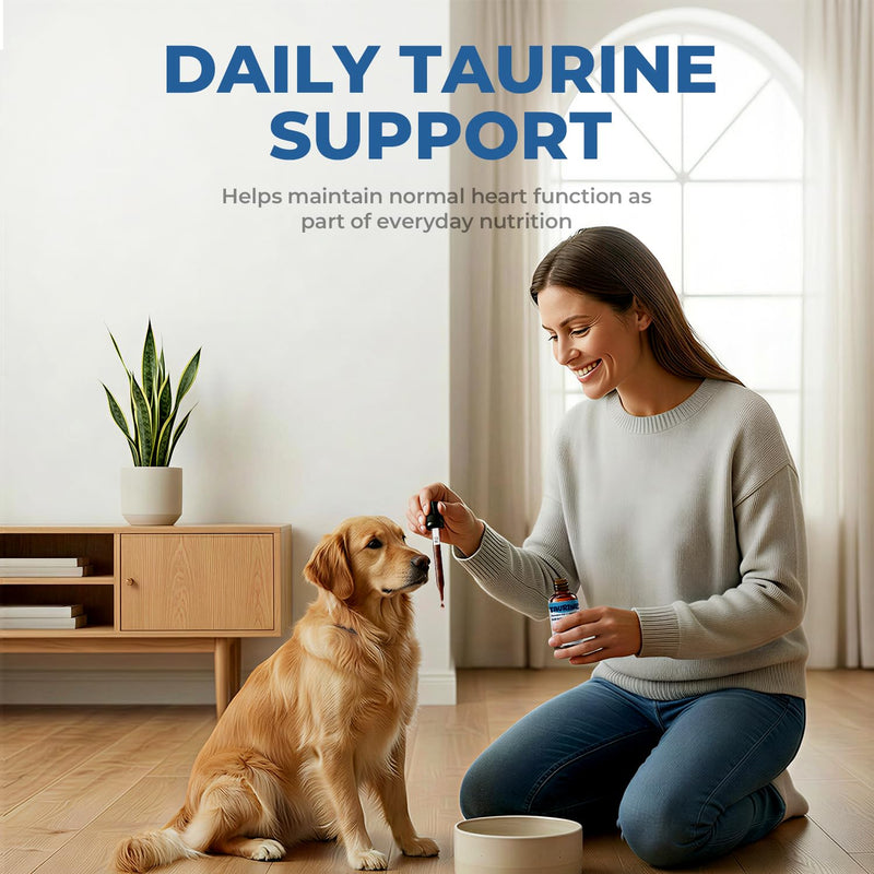 Taurine Supplement for Dogs Liquid Drops with Coenzyme Q10 & L-Carnitine – Supports Heart, Energy & Daily Activity – Easy to Add to Food, 60 ml 60 ml (Pack of 1)