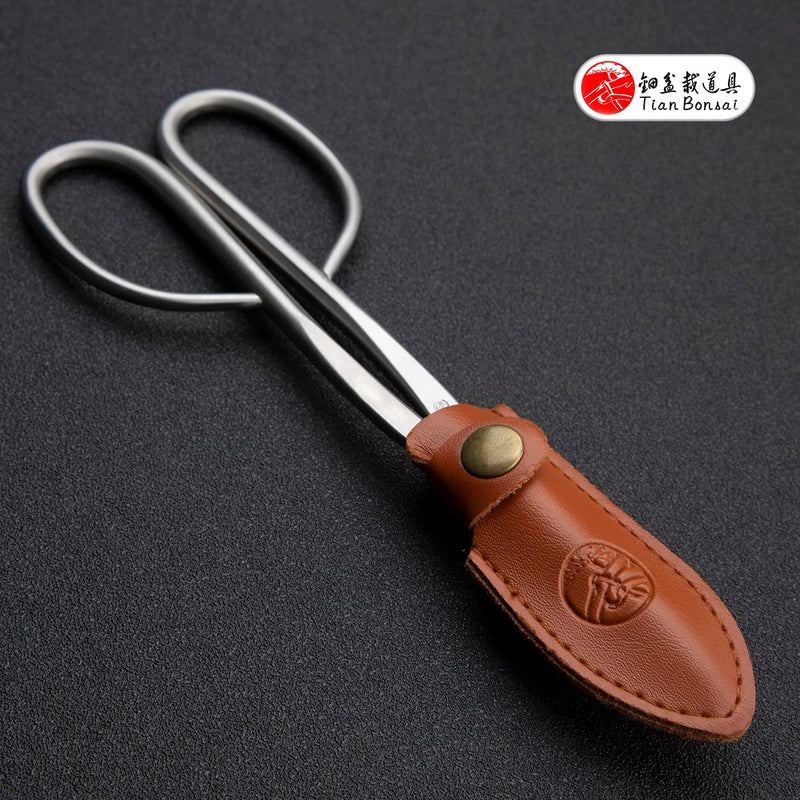 Bonsai Scissors Professional Grade Bonsai Shears Alloy Steel Bonsai Tools Equip With Tool Bag (MT-LBS-210) MT-LBS-210