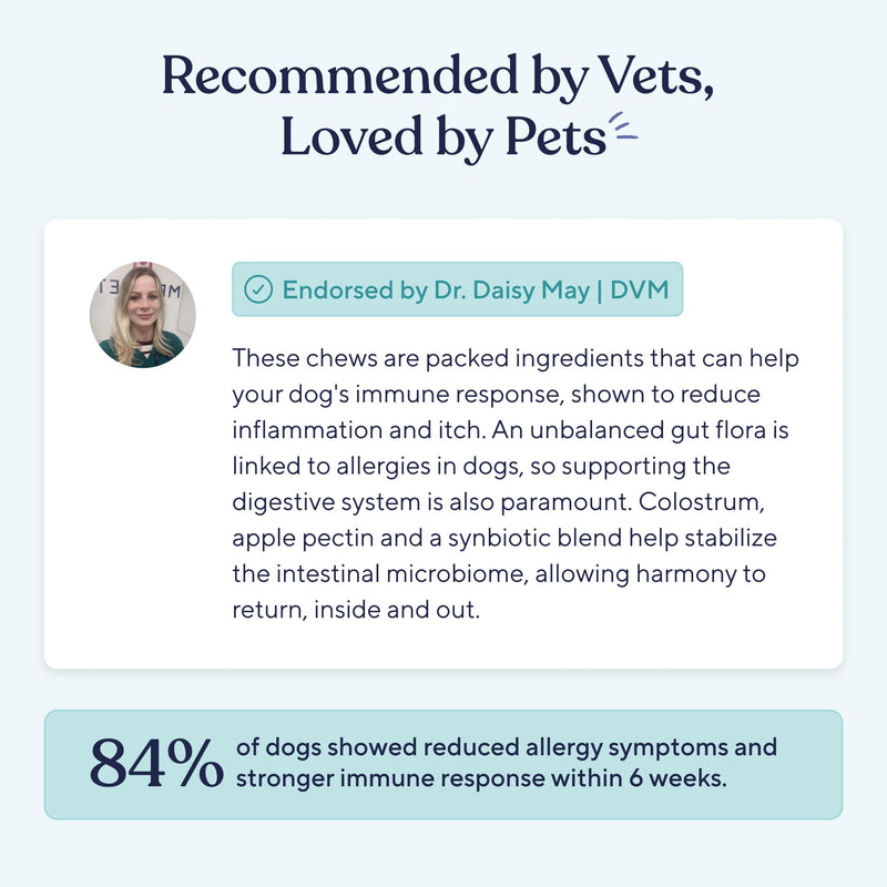 Pawfy Dog Allergy Chews for Large Breed with Itchy Skin & Paw Licking | Allergy & Immune Support for Dogs with Probiotics, Salmon Oil, Turmeric & Vitamin B12 | 30 Turkey Flavoured Chews