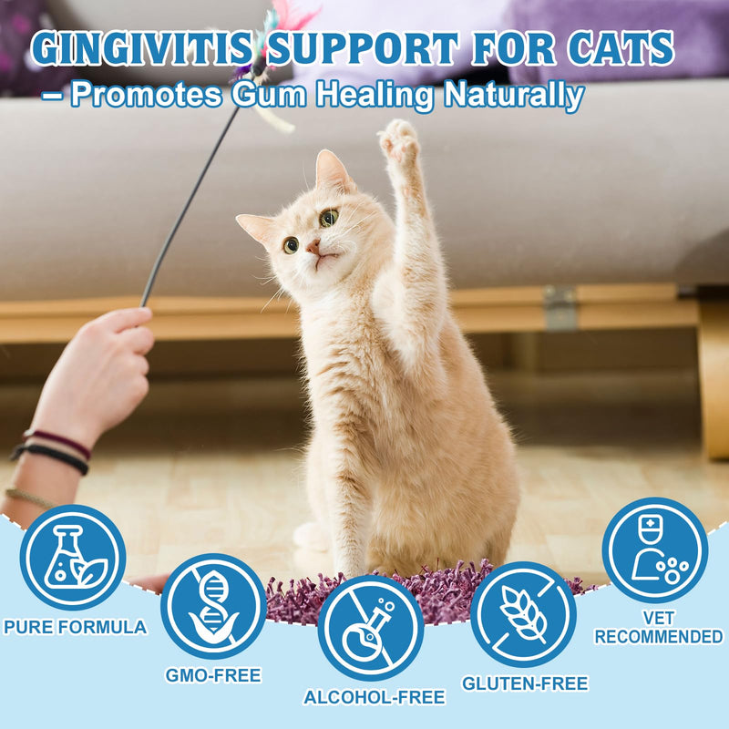 Yakucho Oral Health for Cat, Cats Gingivitis Treatment, Reduce Gum Inflammation, Redness & Pain, Combats Gum Disease, Natural Plant-Based Active Formula, Cat Oral Care, Gums Health Treatment