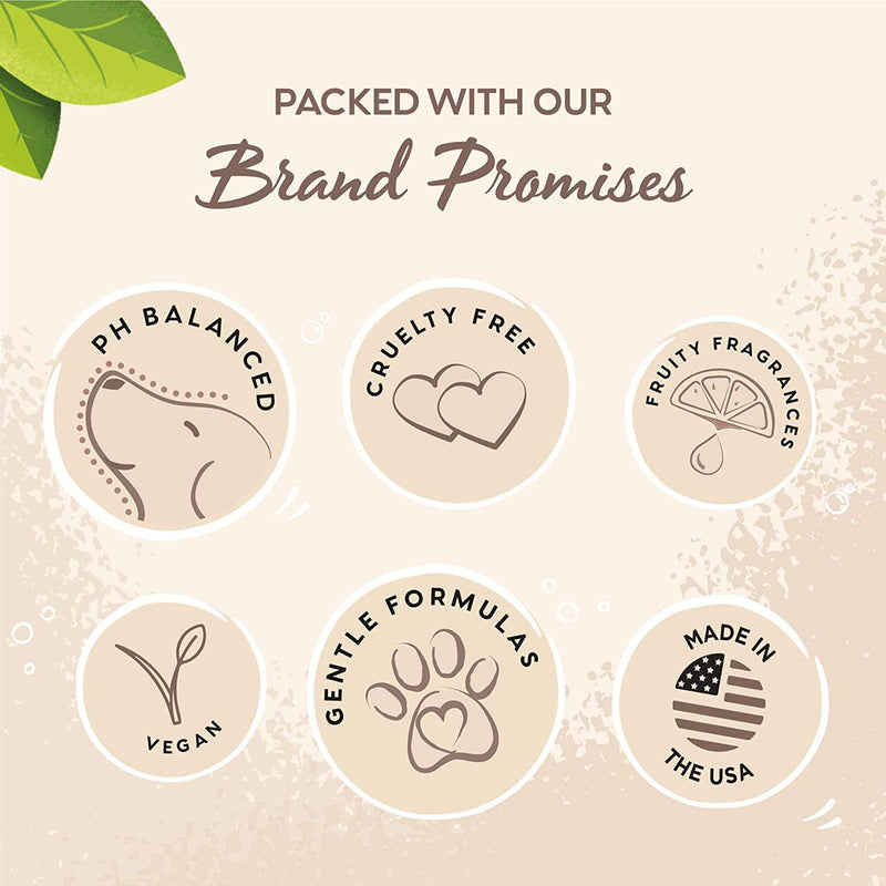Pet Head On All Paws Coconut Paw Butter | Soothes & Nourishes for Soft Crack-Free Paws and Noses | Paw Moisturizer Balm | Vegan | Lick-Safe | Gentle Formula for Puppies | Made in USA | 1.4 oz. - PawsPlanet Australia