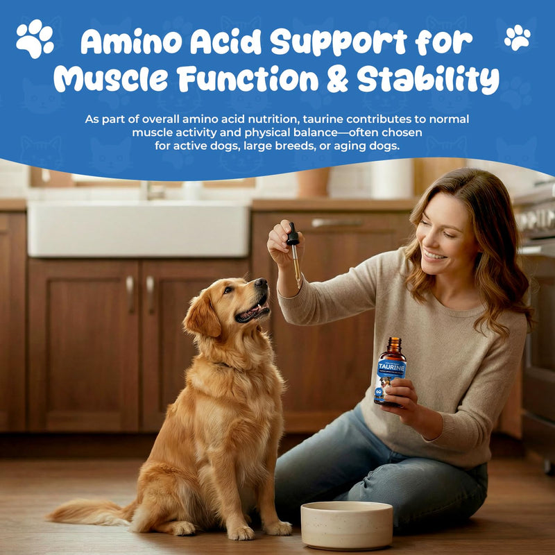 Taurine Liquid Supplement for Dogs, Daily Amino Acid Drops Supporting Heart & Muscle Function, Energy Balance & Physical Stability, 60 ml 60 ml (Pack of 2)
