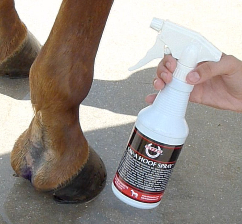 SBS Equine Item 316 hoof Treatment, 16 fl. oz. Spray - PawsPlanet Australia